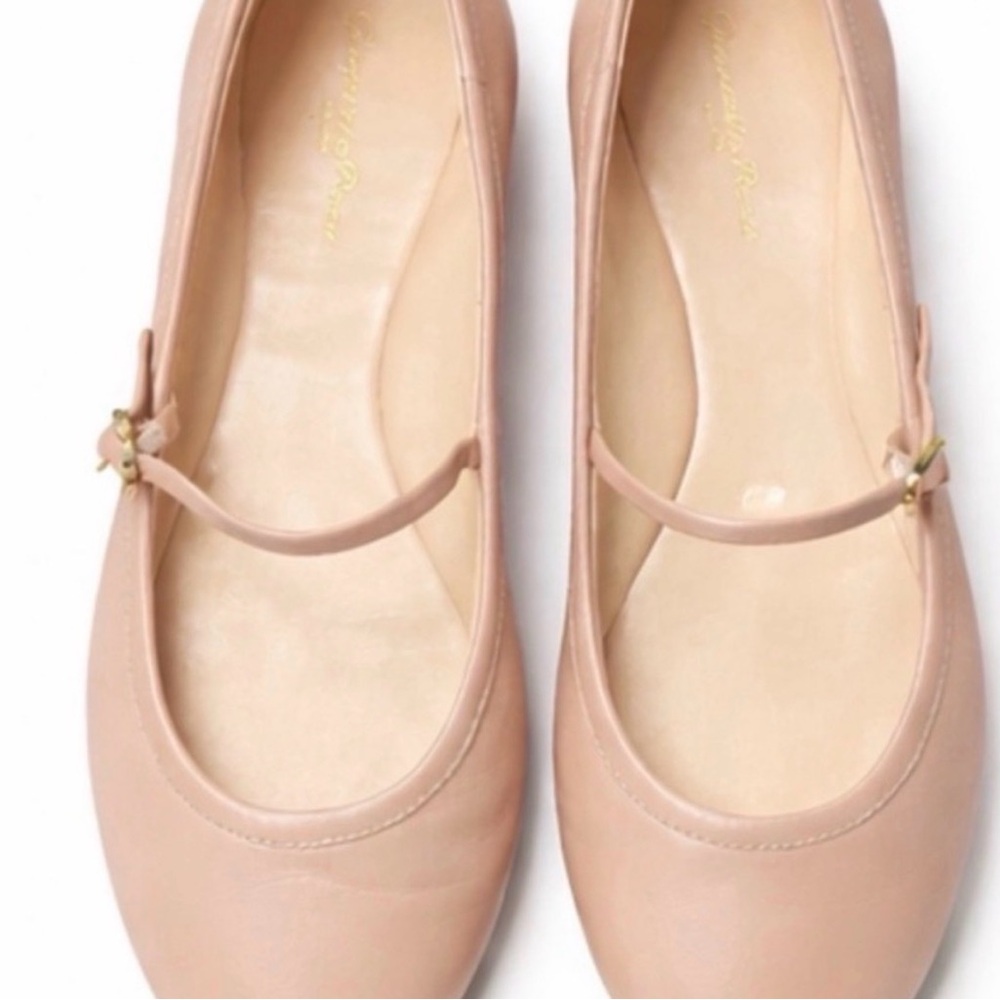 DELISTING TONIGHT. Gianvito Rossi Carla Ballerina. Tan Leather EU 40 (US 9.5–10) - Picture 3 of 11